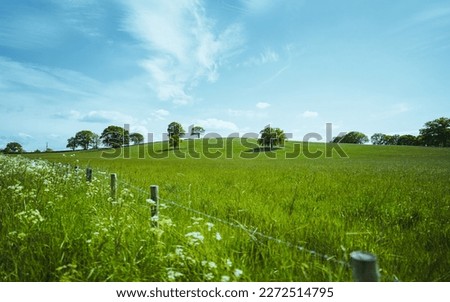 Sunny English countryside green field, pasture with scattered trees, wildflowers, Barb wire fence, blue sky and few feathered clouds￼, Summer time￼ in Dorset