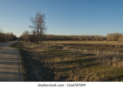 A Sunny Evening At Elk Island National Park