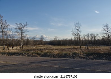 A Sunny Evening At Elk Island National Park