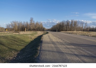 A Sunny Evening At Elk Island National Park