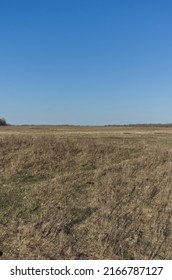 A Sunny Evening At Elk Island National Park