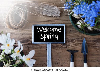 Sunny Flowers, Sign, Text Welcome Spring