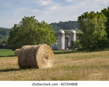 Sunny Hay Bale On A Hudson Valley Farm 