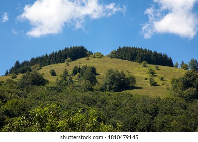 Sunny hill of mountain Kopaonik, Serbia