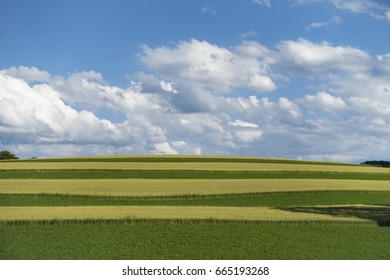 Sunny Hudson Valley Farm Field