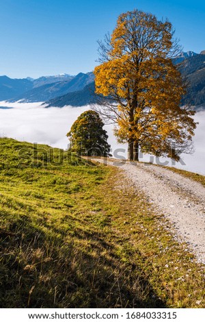 Similar – Foto Bild Salzburg im Herbst