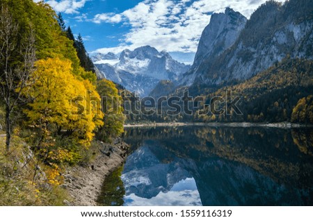 Similar – Image, Stock Photo forest lake Autumn Tree