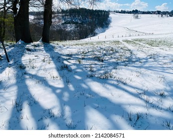 Sunny Landscape with Snow and meadow in Spring. A little Forest and a tree casts shadows in the foreground. Little Village is in the Background.