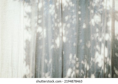 Sunny Light And Tree Shadows On Window Blind Curtains