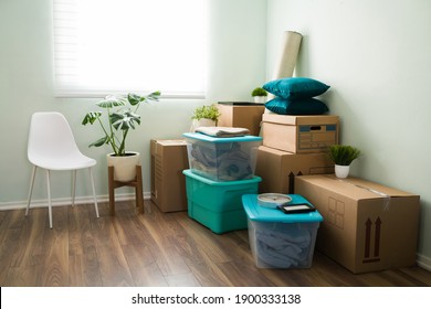 Sunny Living Room Home With Cardboard Boxes Full Of Stuff, Containers, Plants And Furniture Ready To Be Unpacked And Arranged