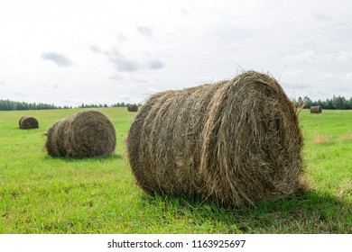 Hay Making Images, Stock Photos & Vectors | Shutterstock