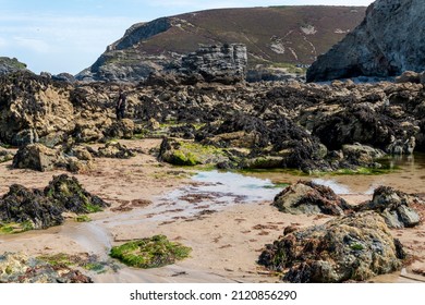 Sunny mid summertime with hot sunshine,at midday on the north Cornish coast,surrounded by cliffs,slate and granite formations,with rockpools,a popular tourist beach resort on North Cornish coast.