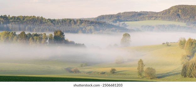 Sunny morning in countryside with fruit trees. Foggy sunrise. Nature at dawn in fog, aerial view. Morning mist haze in agricultural field. Sunny morning scene in misty in rural.  - Powered by Shutterstock