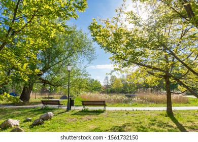 Sunny morning in the park at the summer time