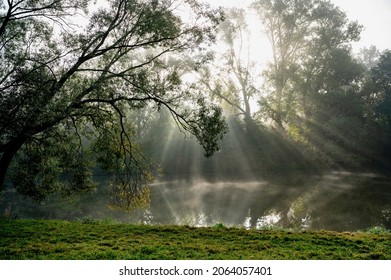 Sunny morning with sun ray through tree and water on river bank, Kolodeje nad Luznici.