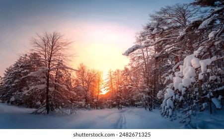 Sunny morning in a winter snowy forest. Frosty morning. Frost falls from the trees. The ski track is covered with snow. - Powered by Shutterstock