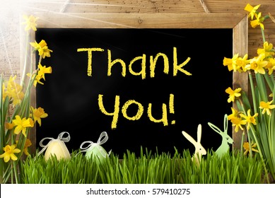 Sunny Narcissus Easter Bunny Text Thank Stock Photo (Edit Now) 583014022