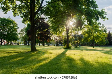 Sunny Park