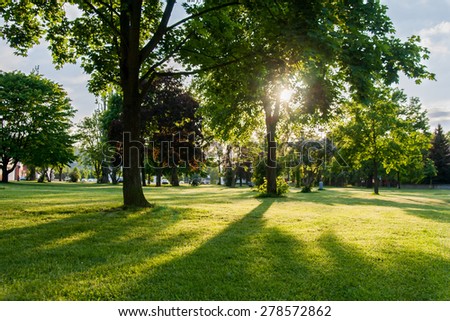 Sunny Park Stock Photo (Edit Now) 278572862 - Shutterstock