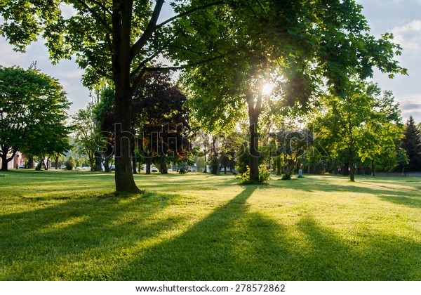 Sunny Park Stock Photo 278572862 | Shutterstock