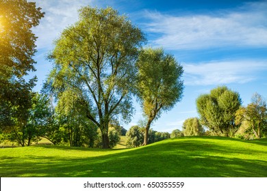 Sunny Park With Long Shadows