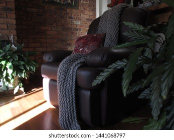 Sunny Reading Room With A Vintage Recliner Made Of Dark Colored Leather