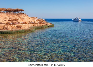 Sunny Resort Beach With Palm Tree At The Coast Of Red Sea In Sharm El Sheikh, Sinai, Egypt, Asia In Summer Hot. ?oral Reef And Crystal Clear Water. Famous Tourist Destination Diving And Snorkeling
