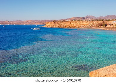 Sunny Resort Beach With Palm Tree At The Coast Of Red Sea In Sharm El Sheikh, Sinai, Egypt, Asia In Summer Hot. ?oral Reef And Crystal Clear Water. Famous Tourist Destination Diving And Snorkeling