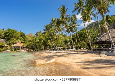 Sunny sandy tropical Sairee beach on exotic Koh Tao island in Thailand. Picturesque shoreline with palm trees, clear transparent sea water and blue sky