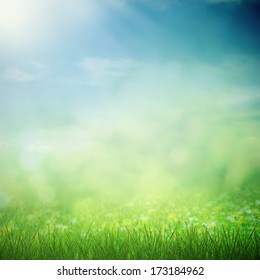 Sunny Sky With Spring Field With Growing Flowers And Grass