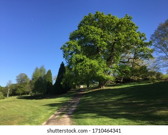 Sunny Spring Day At Oatlands Park In Weybridge In Surrey, England.