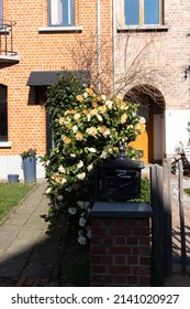 A Sunny Spring Day In A Quiet Neighborhood In Brussels, Belgium.