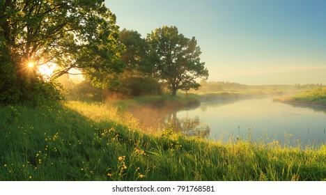 Sunny spring morning on meadow near river. Scenic rural landscape. Spring sunny background.
