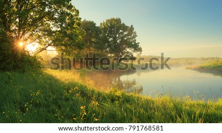 Sunny spring morning on meadow near river. Scenic rural landscape. Spring sunny background.