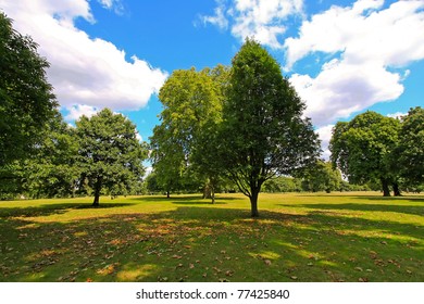 Sunny Summer Afternoon In London Hyde Park