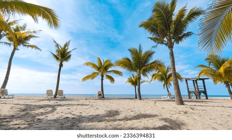 Sunny summer day on beautiful tropical beach with palm trees and ocean view - Powered by Shutterstock