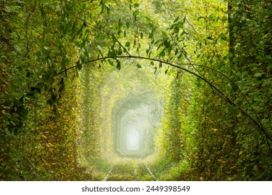 Sunny summer day in the Rivne region of Ukraine. Tunnel of love in Klevan. Romantic green branch. Deciduous forest and old railroad tracks - Powered by Shutterstock