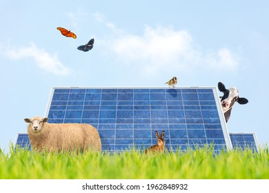 Sunny Summer Field With Solar Panels, Farm Animals And Butterflies