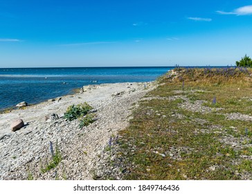 sunny summer landscape with limestone cliffs, Undva Cape, Tagamoisa Peninsula, Saaremaa Island, Estonia