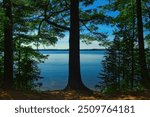 Sunny Summer landscape of shaded trees beside a peaceful lake near Boulder Junction, Wisconsin.