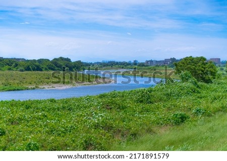 Sunny summer scenery of the Tama River
