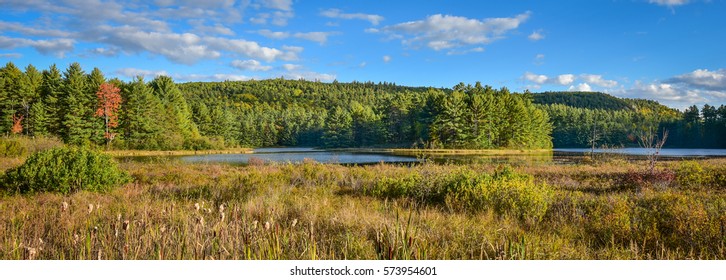 Sunny Summertime marsh wetlands mixed with Boreal forest woodland wilderness as viewed from the roadside of an Ontario, Canada highway.