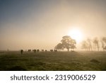 Sunny sunrise in the countryside of Uruguay.