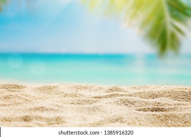 Sunny Tropical Beach Palm Trees Background Stock Photo 1385916320 ...