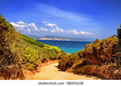Sunny Tropical Summer Paradise Beach.The Golden Path leading to marine paradise 