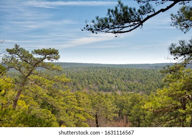 Sunny view across pine forest treetops at Robber's Cave, Oklahoma, in very early spring