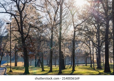 Sunny View Of The Campus Of University Of Arkansas At Arkansas