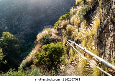 Sunny View Of Hiking In A Rural Trail Of San Gabriel Mountains At Los Angeles