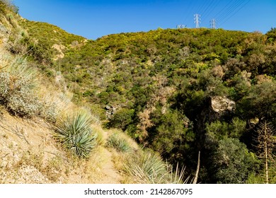 Sunny View Of Hiking In A Rural Trail Of San Gabriel Mountains At Los Angeles