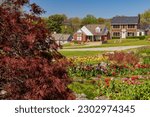 Sunny view of many flower blossom in Woodward Park and Gardens at Oklahoma